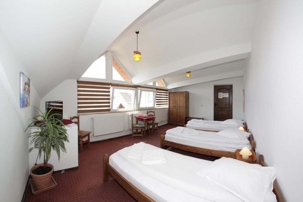 Pensiunea Cocosul Rosuシビウ 部屋 写真